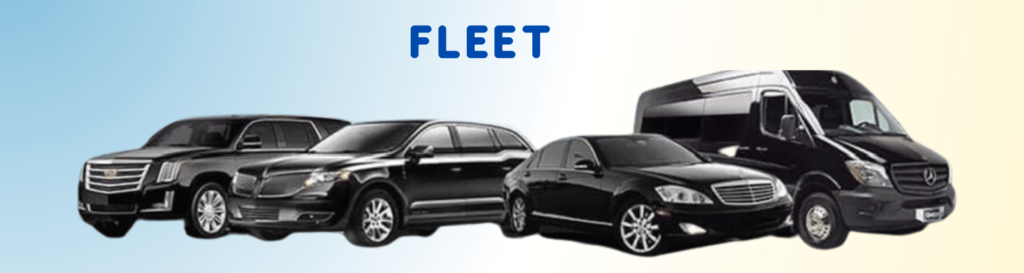 dallas airport car & limo fleet image